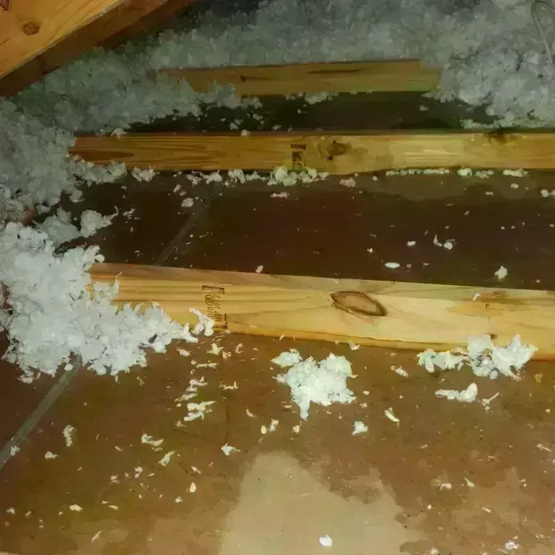 Attic Water Damage in Carey, OH