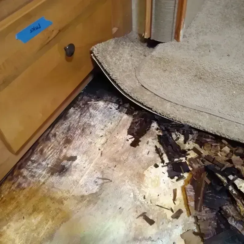 Wood Floor Water Damage in Carey, OH